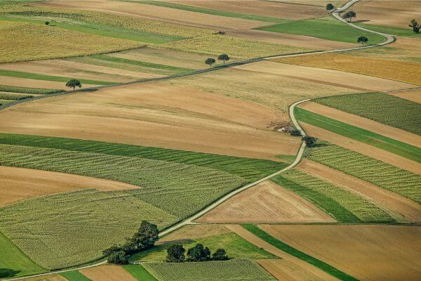 Commodities-Agrícolas