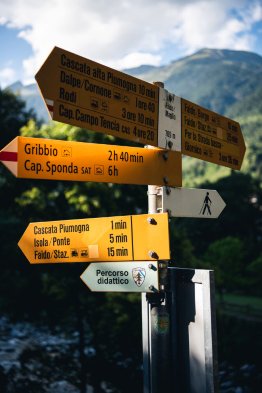 How to Choose Between Two Career Paths